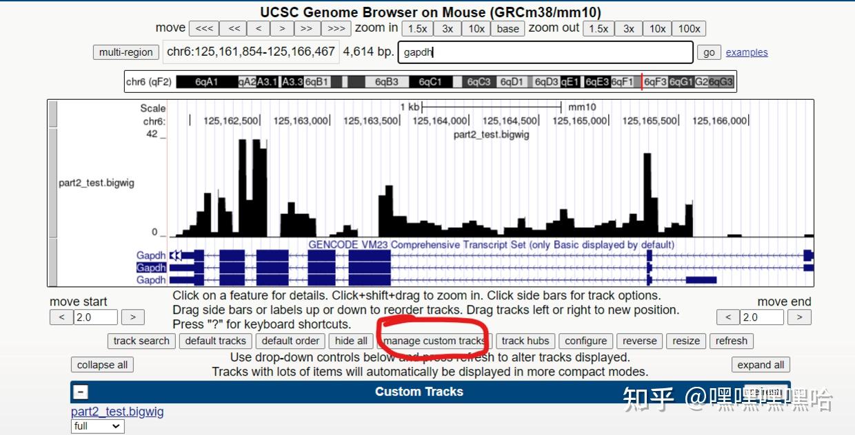 UCSC Genome Browser 使用之本地数据上传CyVerse或Github - 知乎