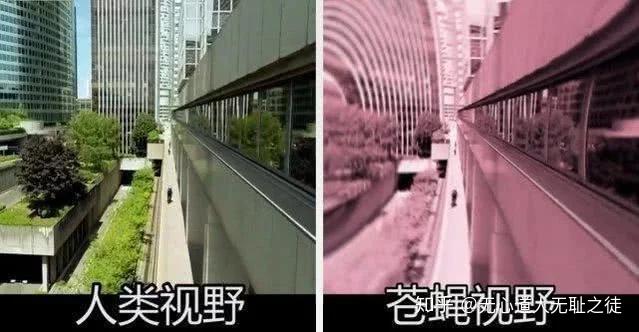 长久以来我们看待世界都是通过人类的视角,但现实中的客观世界真的是