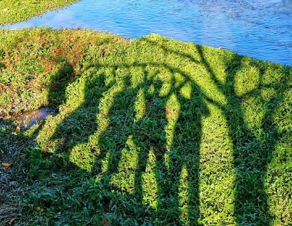 在昆明一个人一天去哪玩比较好?