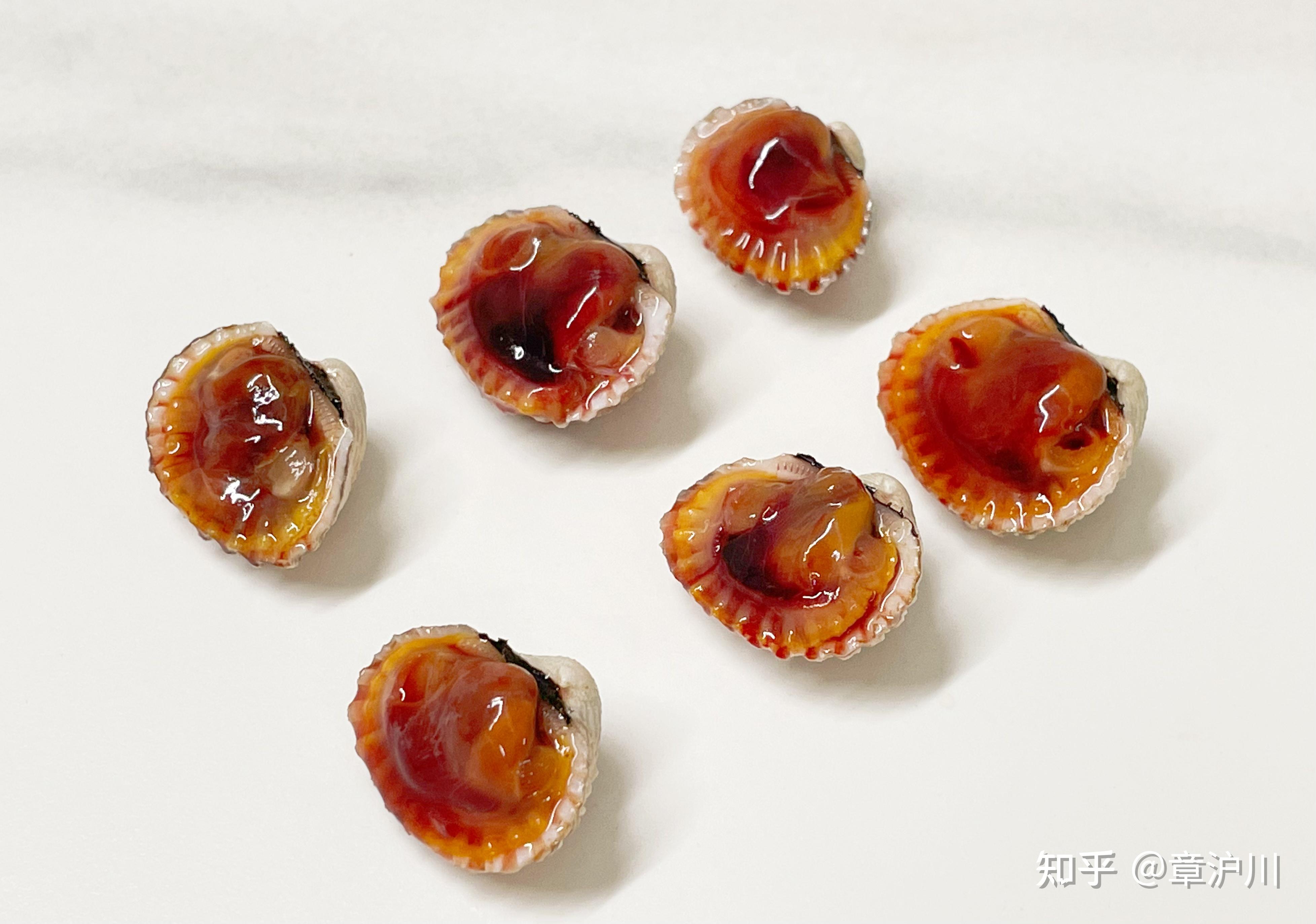 血蚶:剥开血淋淋的贝壳,你敢吃吗?为啥沿海人对它如此狂热|食材科普 - 知乎