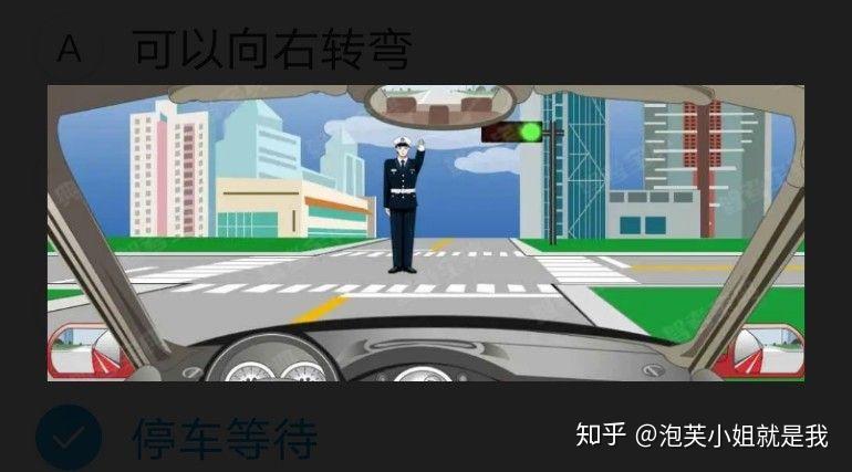 我的駕考之路74交警指揮手勢