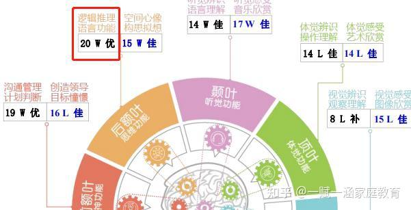 高三跨科逻辑推理专项（多学科逻辑链）的简单介绍