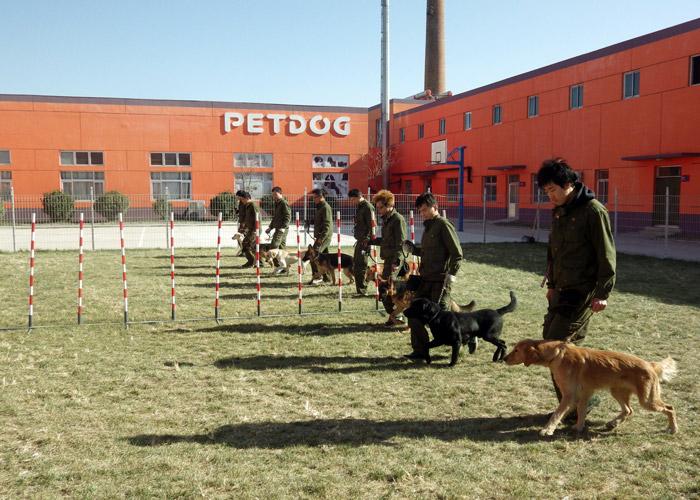 训犬师培训学校(训犬师培训学校一般多少钱)