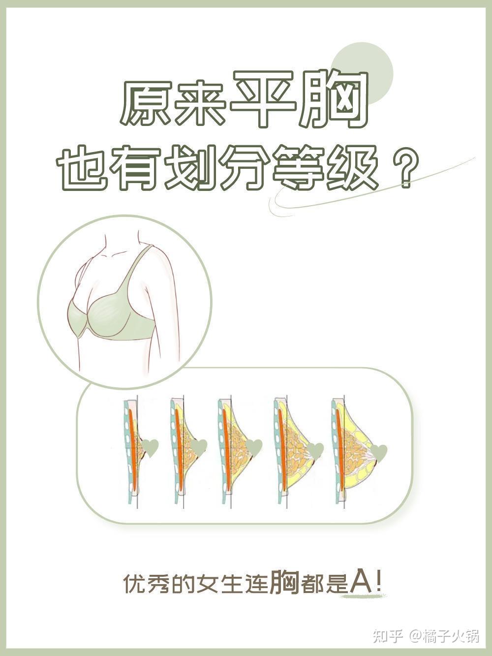 即为女性的胸围尺寸下胸围:是指乳房基底处的胸围好了,来看看平胸的