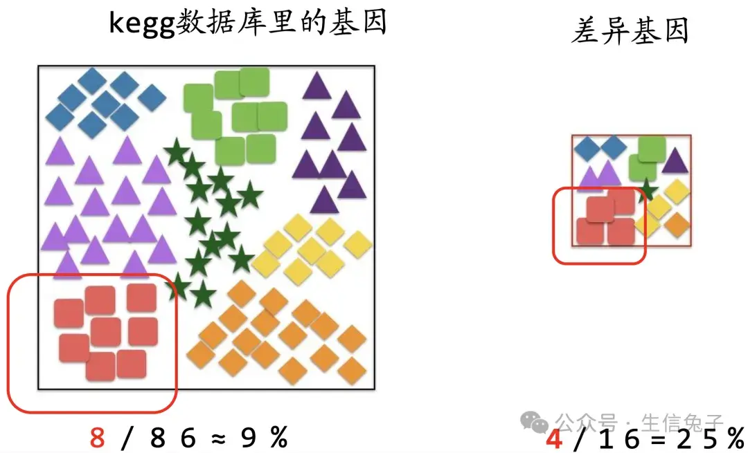 富集分析-KEGG/GO - 知乎