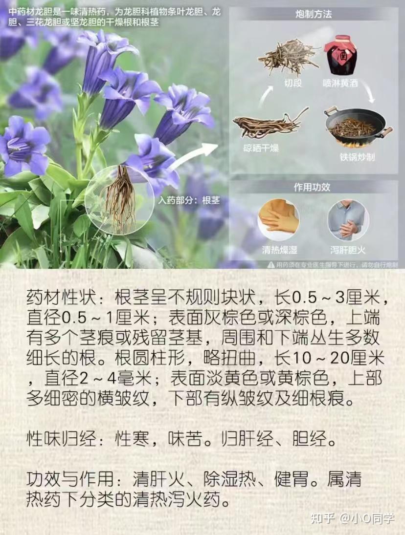 龙胆草归经图片