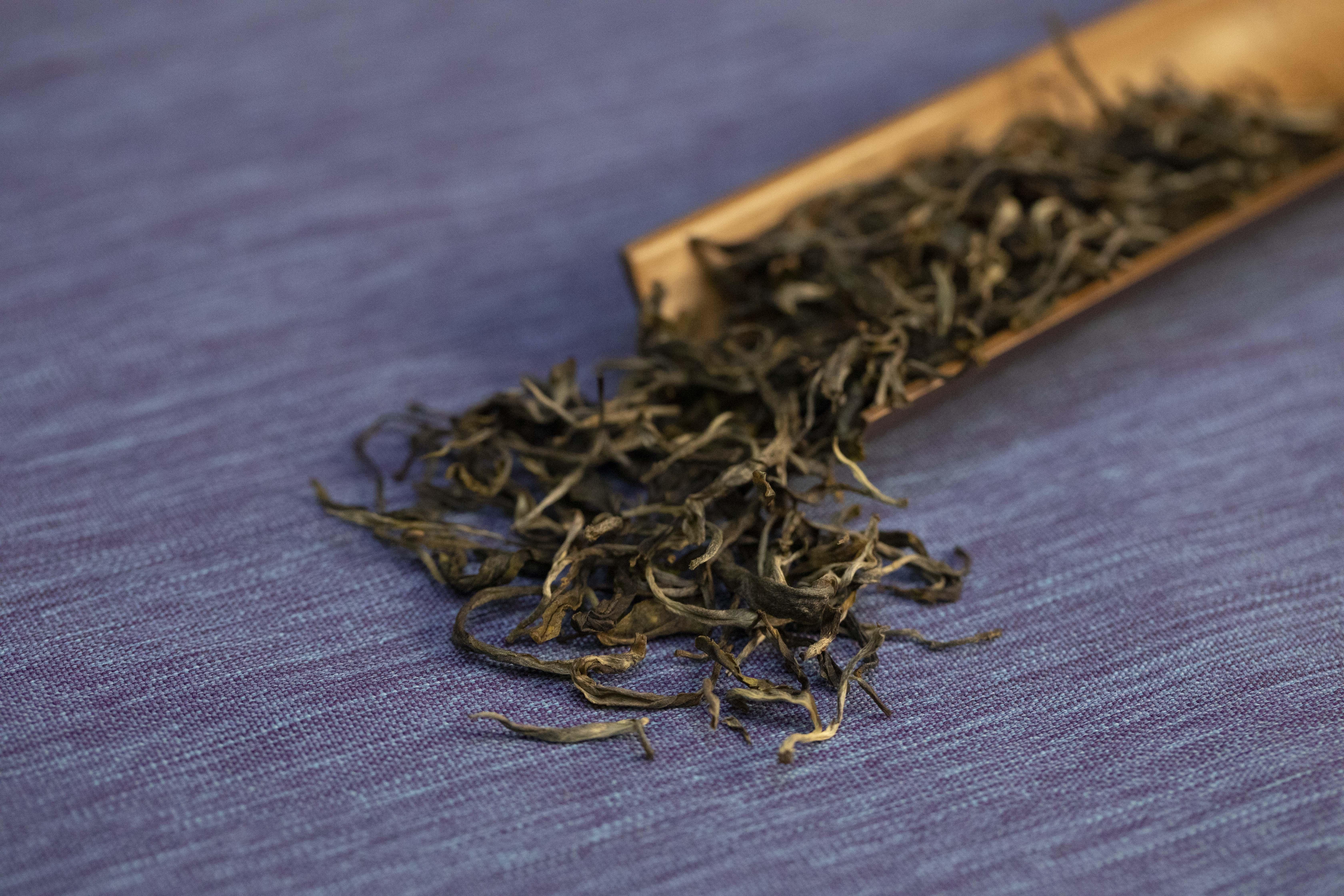 猫耳朵普洱茶普洱茶中的另类小叶种中的精品