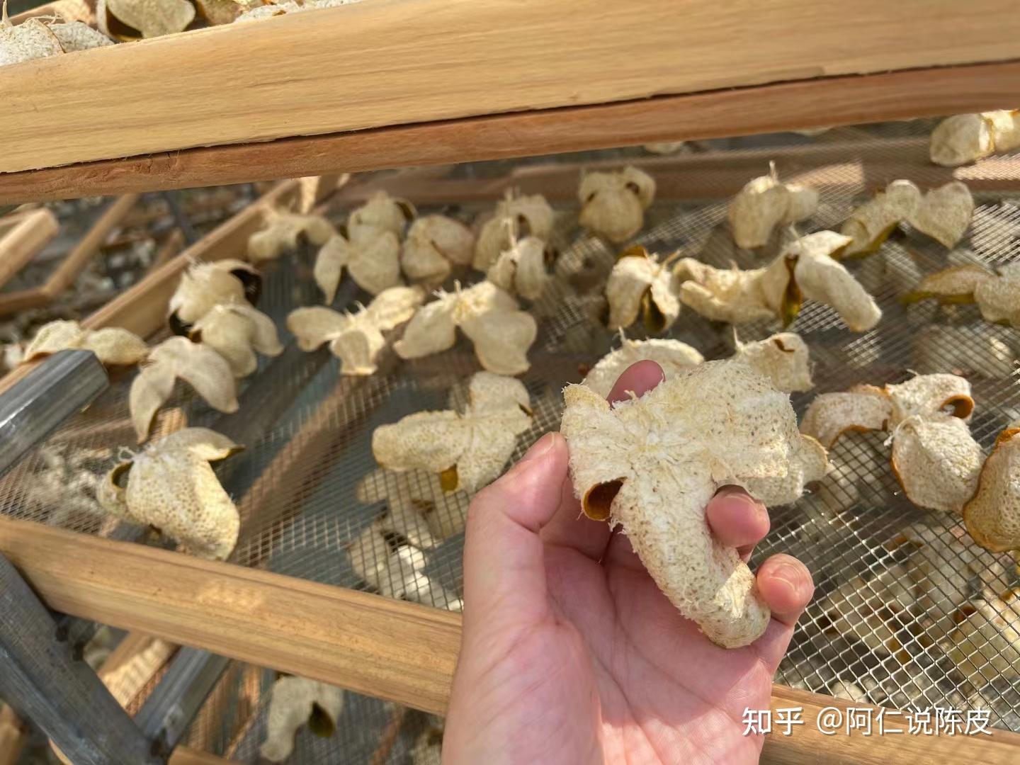 揭秘:收藏12年陈皮一文不值?专家解析陈皮陈化过程中的难题! - 知乎