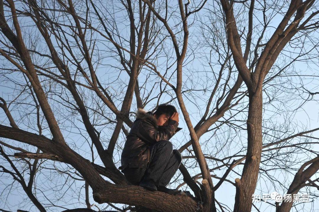 无处安放的灵魂——hello!树先生