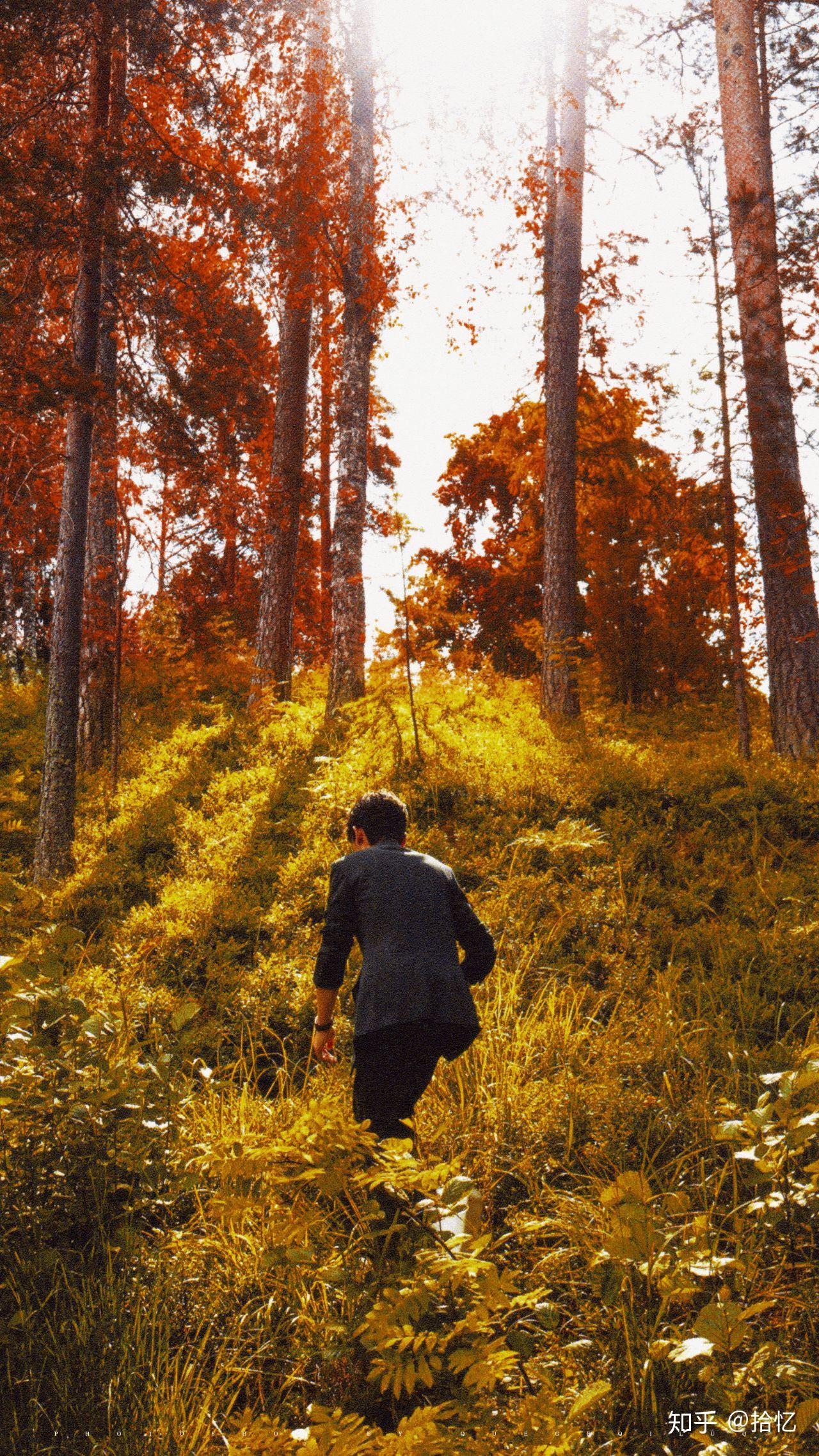 有没有朱一龙背影照或者远景照,可以当手机壁纸或者电脑桌面的?