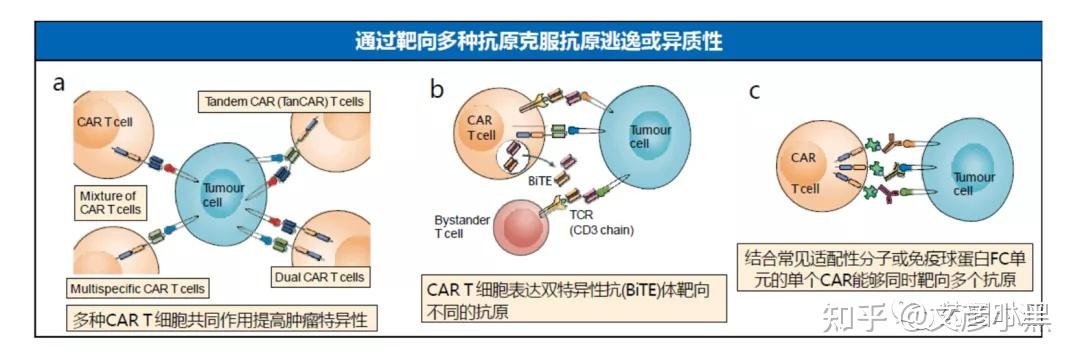 【行研】car-t细胞治疗(一):行业概况和痛难点 - 知乎