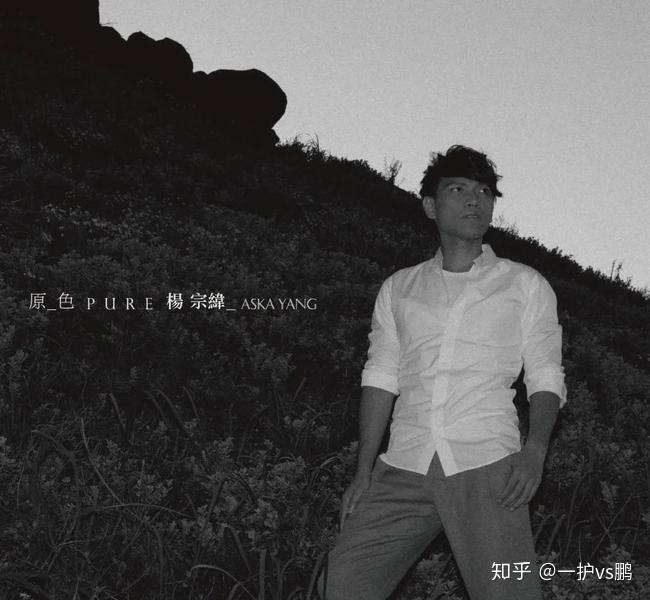杨宗纬:完美的歌者,不完美的艺人 - 知乎