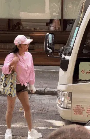 动图