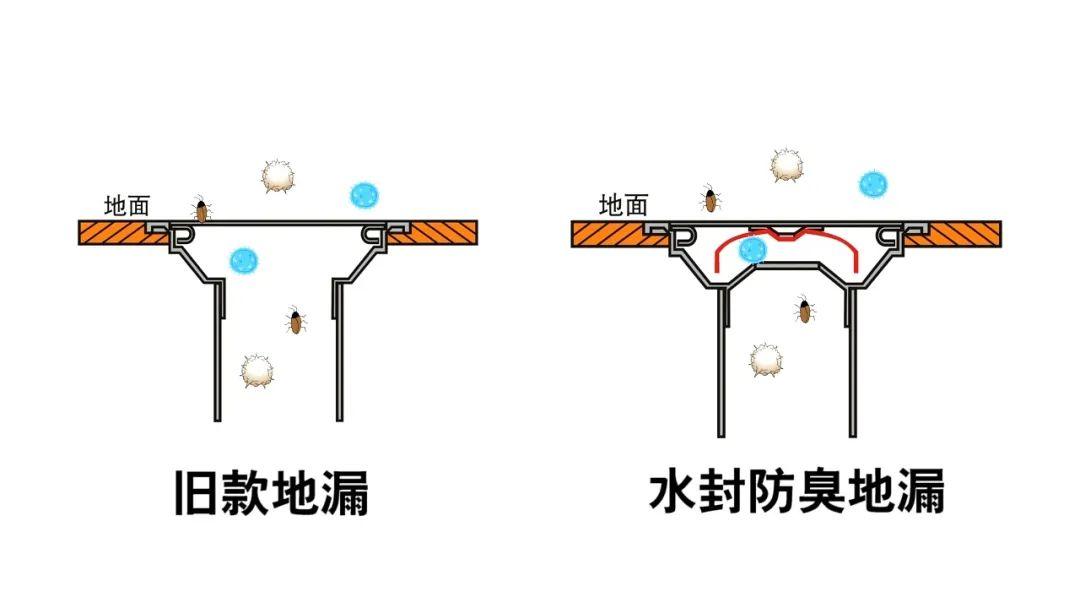 防干涸地漏是什么意思图片