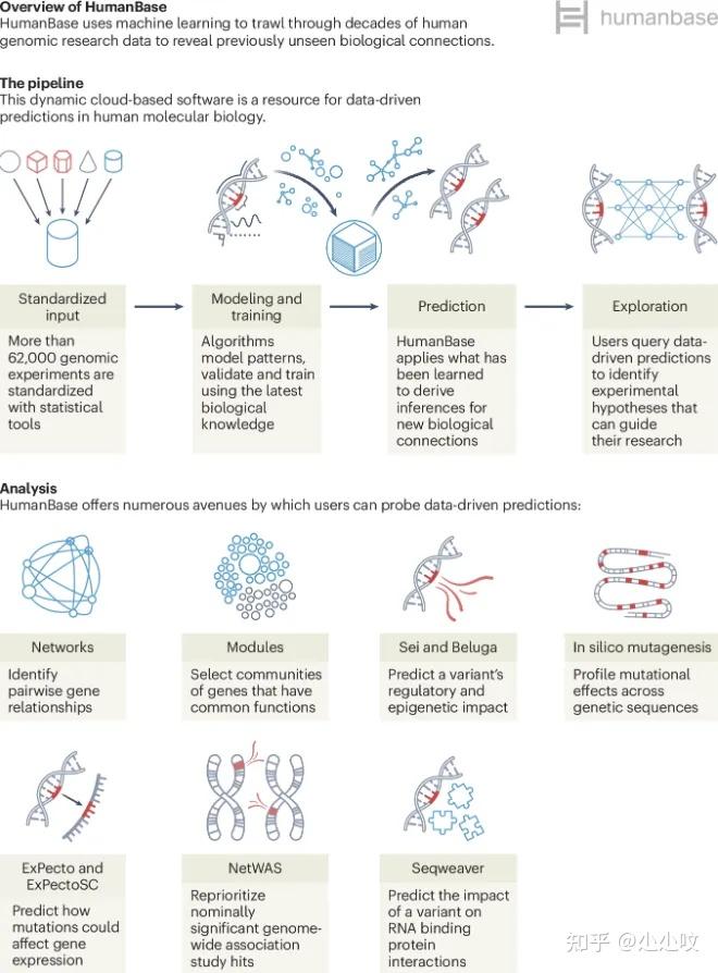Nature Methods | HumanBase：一个用于人类生物学的交互式人工智能平台 - 知乎