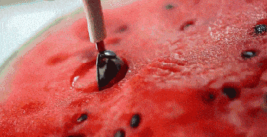 抖音美食的那个音乐是什么名字_抖音网红美食音乐节_抖音美食节目