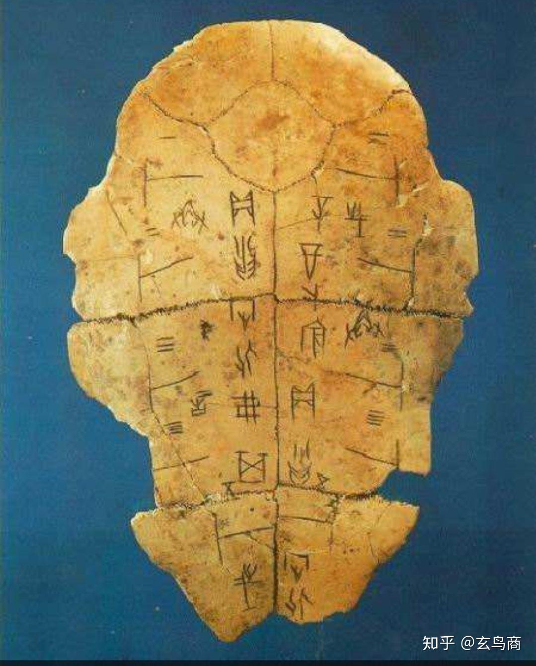 现在已经破解了甲骨文所用龟甲是古埃及陆龟.