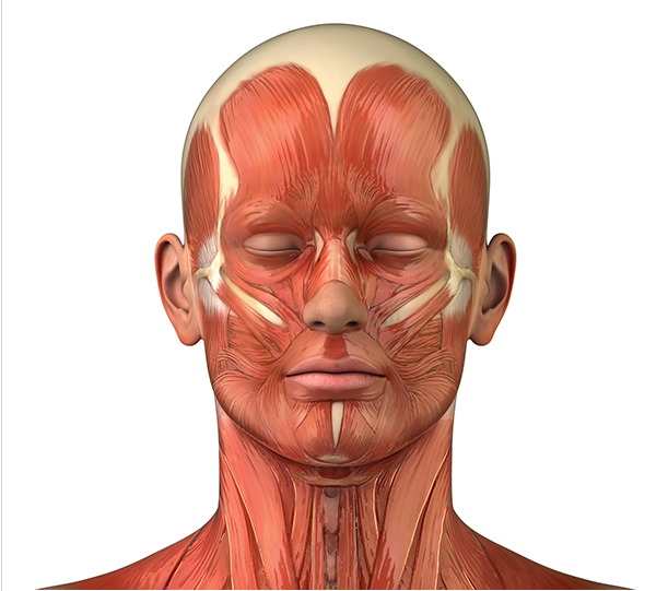 如何完成标准的俯卧撑?