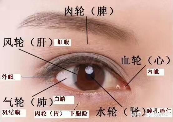 如何从眼睛看出一个人的病状？ - 知乎
