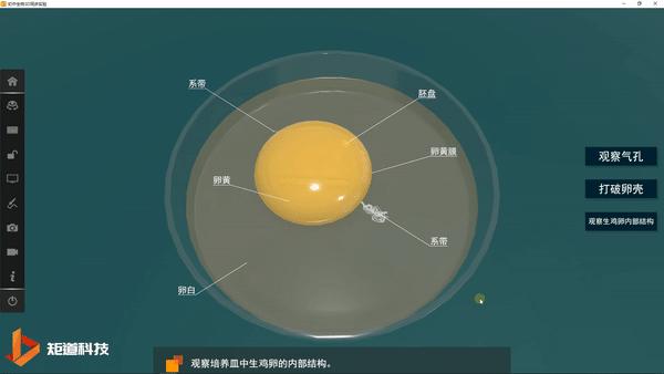 【初中生物】《鸟的生殖和发育》章节的教学设计怎么做? - 知乎