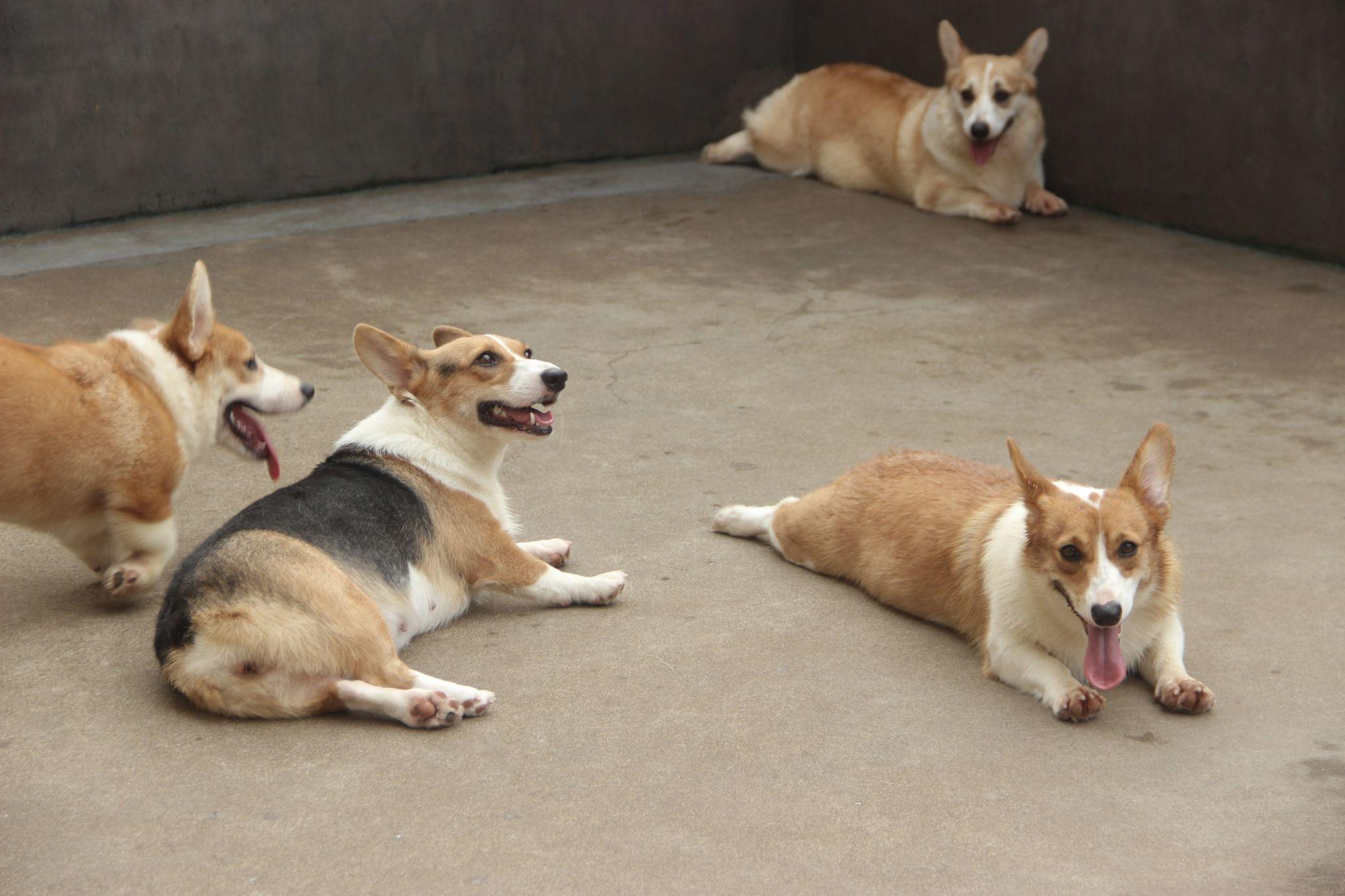 拾人牙慧 - 收藏夹 - 知乎