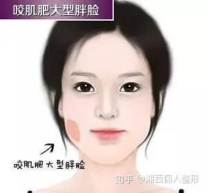v2-a7cd3603e2061d4b62af943a0088b833_b.jpg