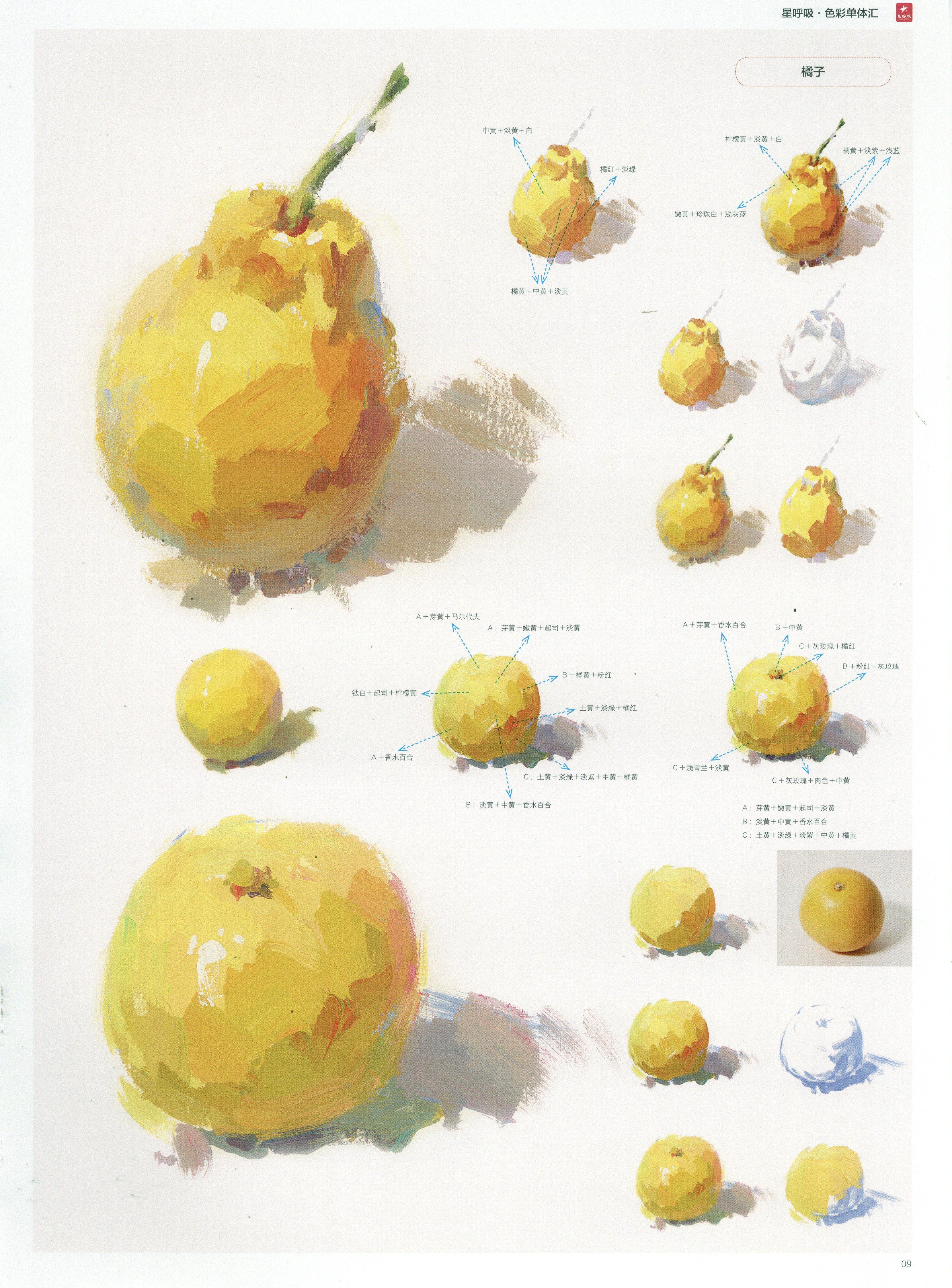 干货水粉单体水果系列塑造高清教材赶紧收藏临摹