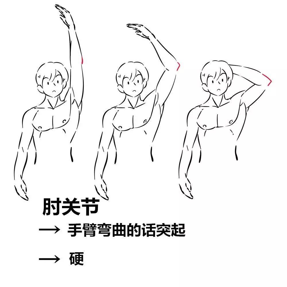 示范一些正确的动作示范这篇手臂的基础知识手臂是一个很重要的组成