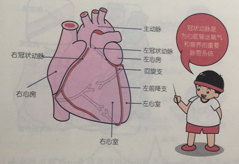 简单易懂的冠心病完全图解