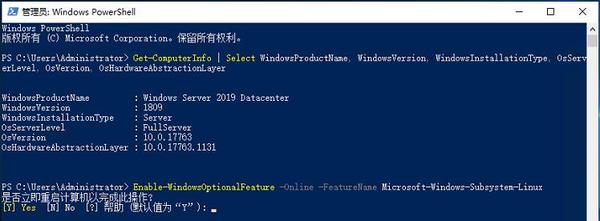  Windows Server 2019 WSL 