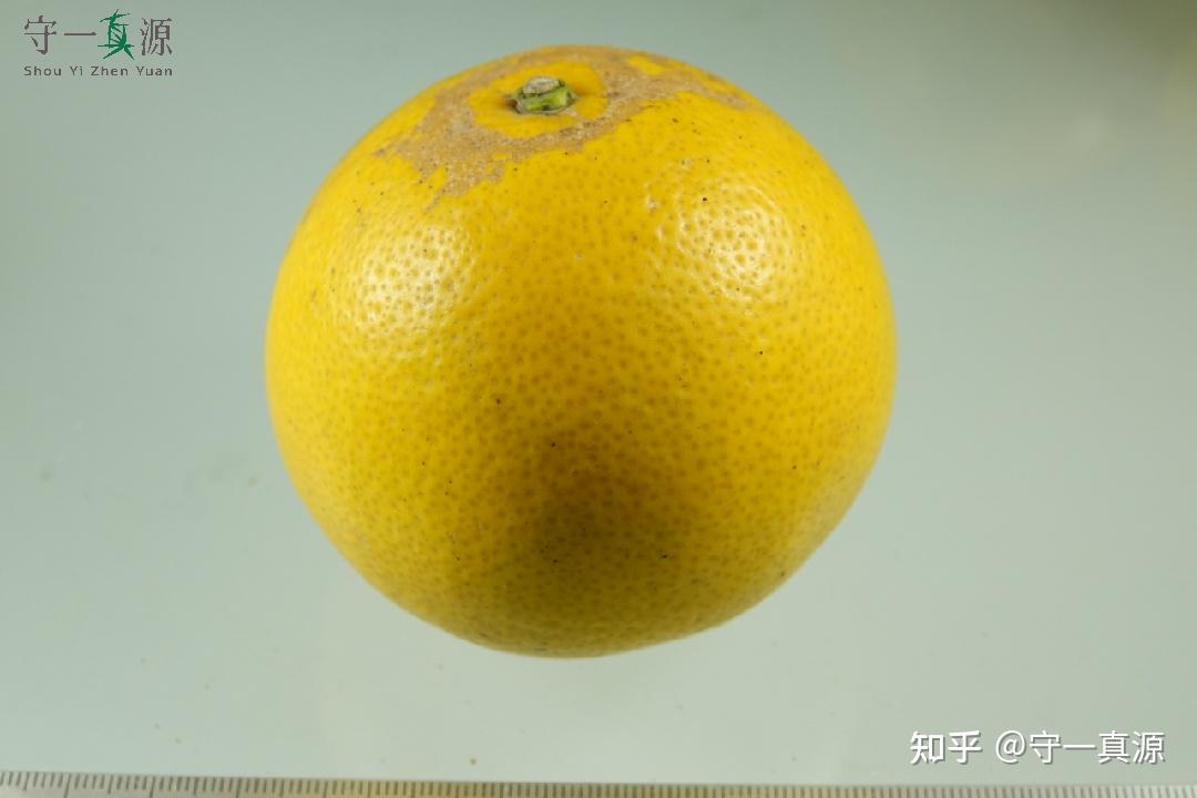 深入浅出聊枳实、枳壳之前生 - 知乎