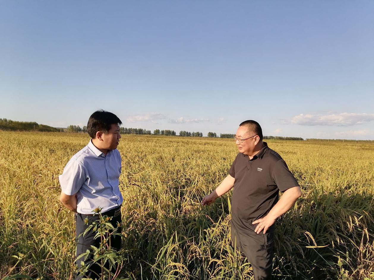 刘思政考察海伦市硒谷米业富硒水稻基地《富硒水稻基地资源整合战略