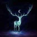 走过音乐咖啡屋