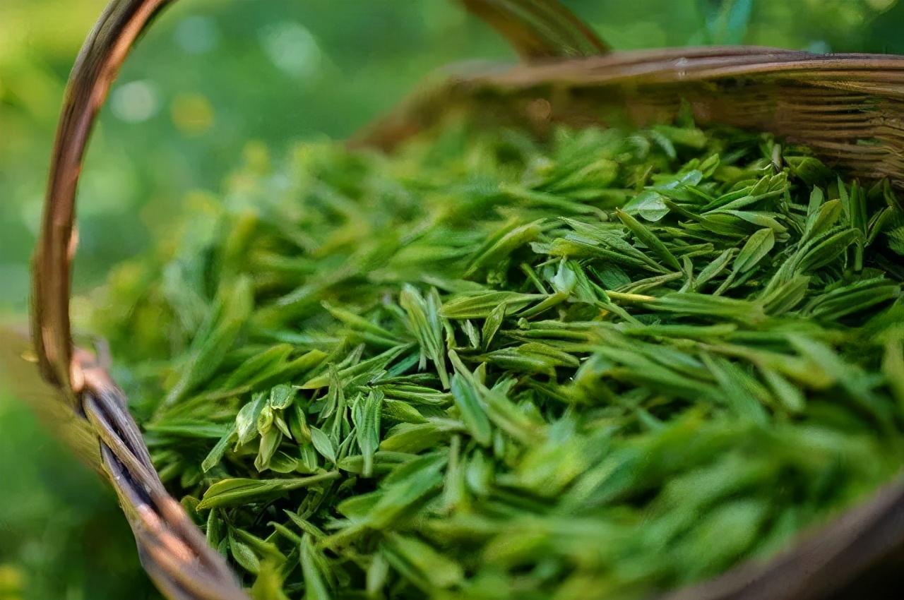 春茶 夏茶 秋茶到底有何不同 它们各自的特点是什么 我们可以怎样区分 - 知乎