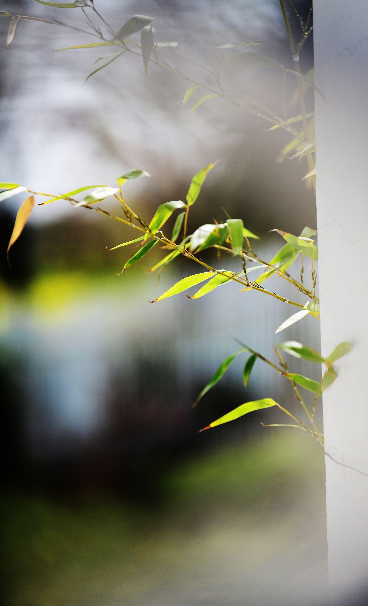 随拍随忆 - 知乎