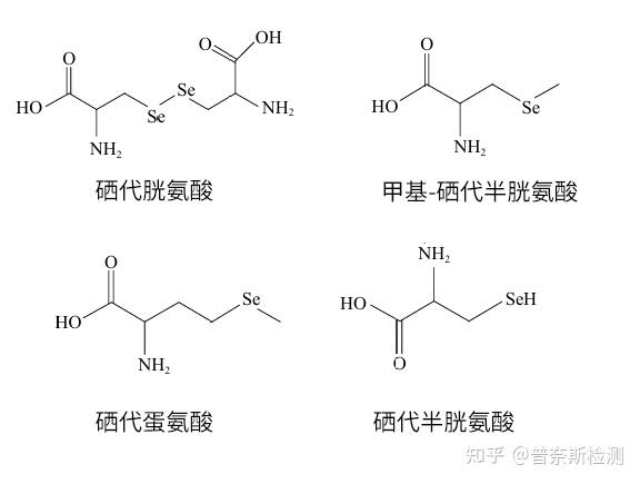硒代氨基酸检测 - 知乎