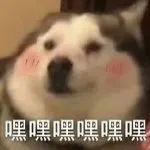 专升本的8大问题盘点,你知道哪些?插图 专升本的8大问题盘点,你知道哪些?插图