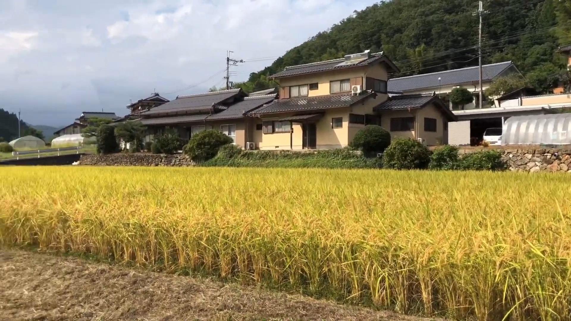 田园风景 发布于 12 小时前 · 51 次播放田园风景乡村旅游相关推荐 7