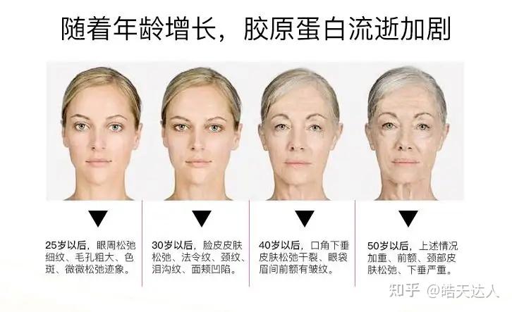 胶原蛋白是什么?胶原蛋白有什么作用? - 知乎