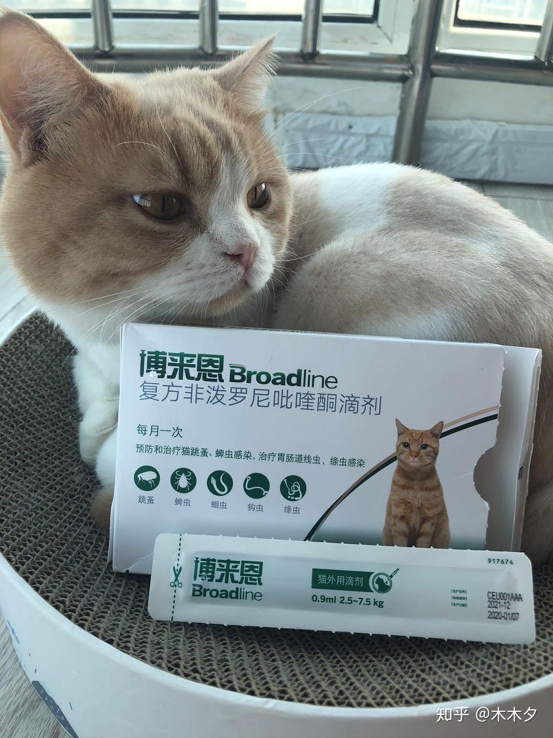 来看就能知道,猫用的体外驱虫成分,常见的是非泼罗尼,吡虫啉,塞拉菌素