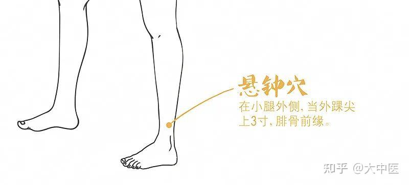 不可不知：针灸中的八会穴 - 知乎