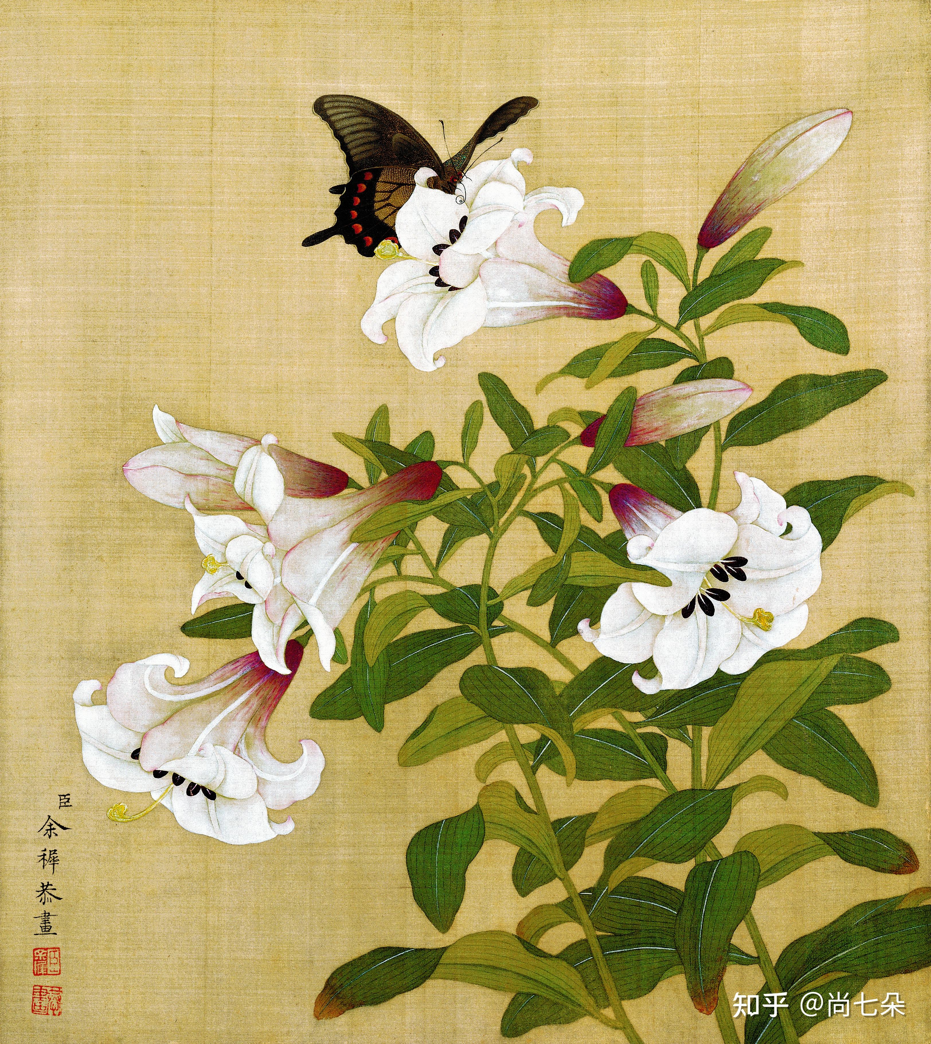 清 余穉花鸟图 国画工笔花鸟美术素材绘画资料图片保存 - 知乎