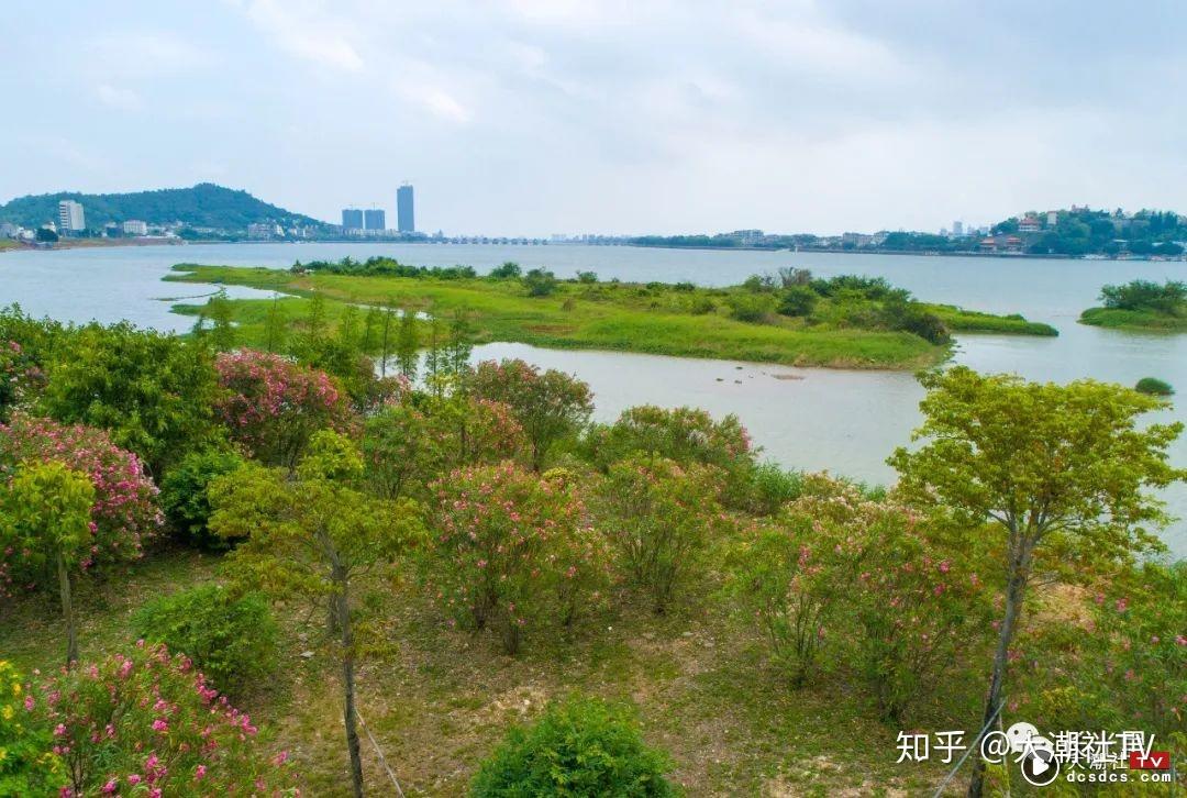 望江公园开放了吗 v2-a861a0f5686c8641e0a1fa0f1b004f8b_r.jpg