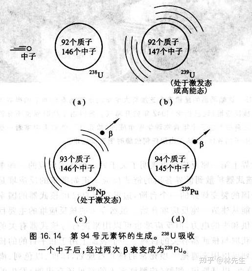 重元素的中子数大于质子数,由铀裂变而形成的更轻的碎片含有的中子数