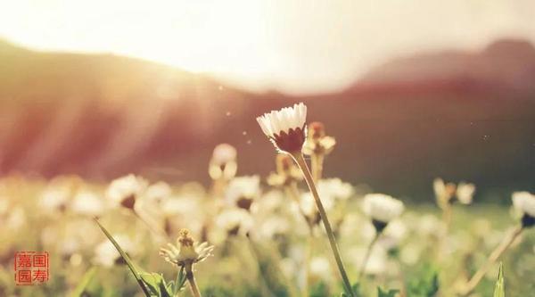 释读解字 魅力汉字 暖 知乎