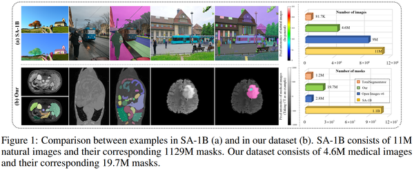 【arXiv 2308】SAM-Med2D（SAM-Med2D） - 知乎