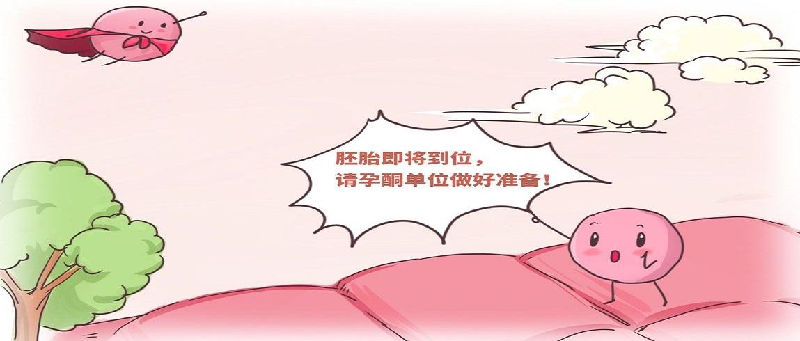 v2-a870eb9fbb8857a22ca2940a2ee70bc8_1200x500.jpg