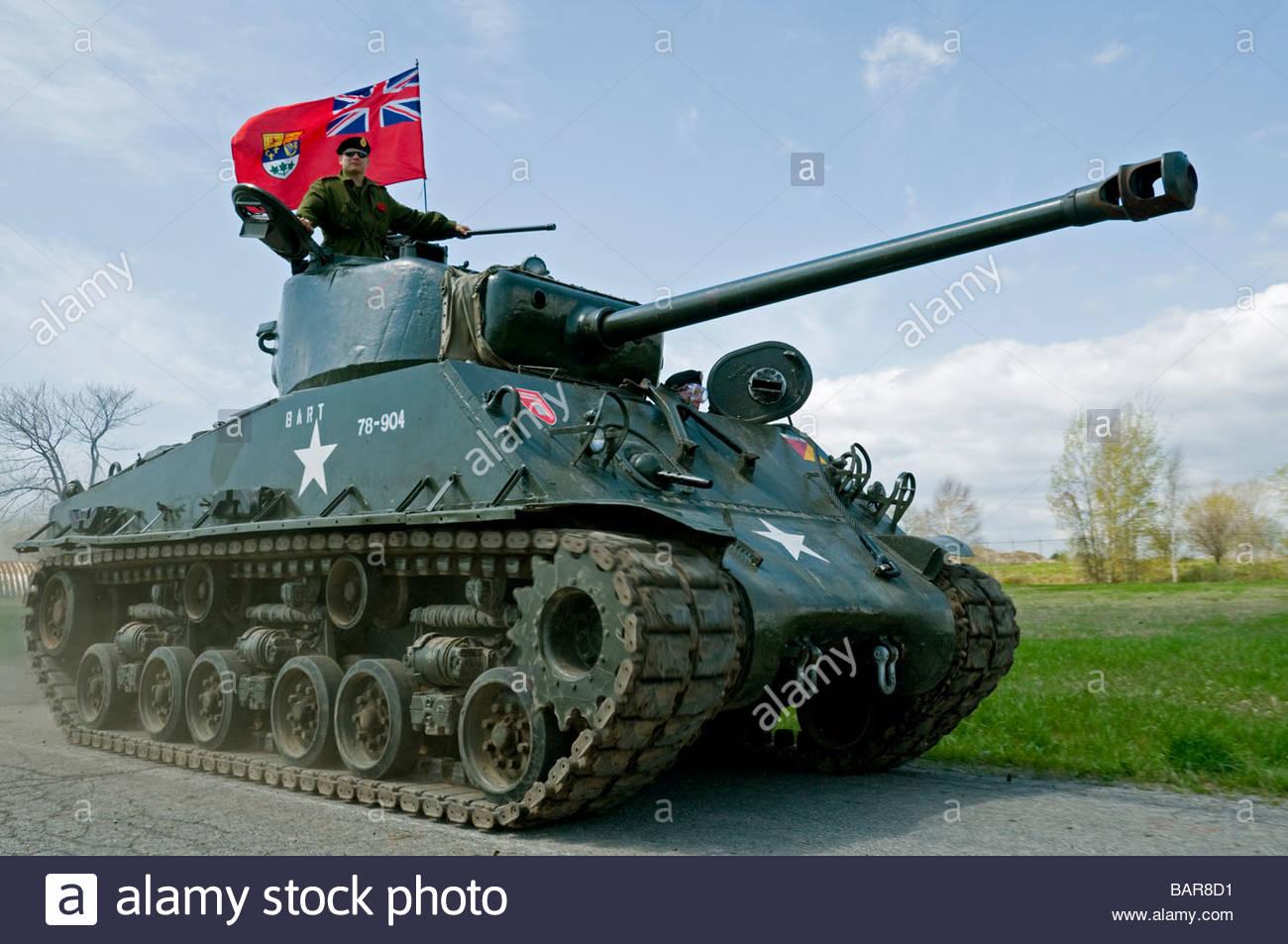 加拿大在一战和二战做出了什么贡献?