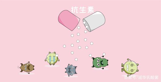 我是如何被抗生素"毒害"的?