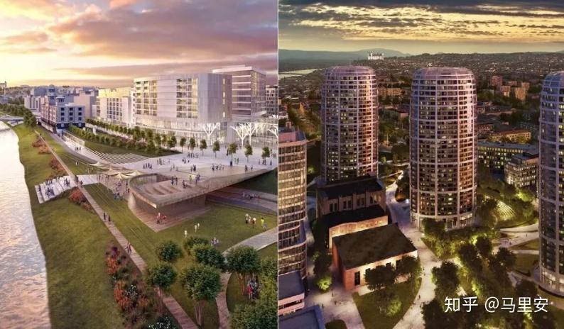 knight of erin樱花